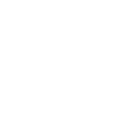Whatsapp  icon